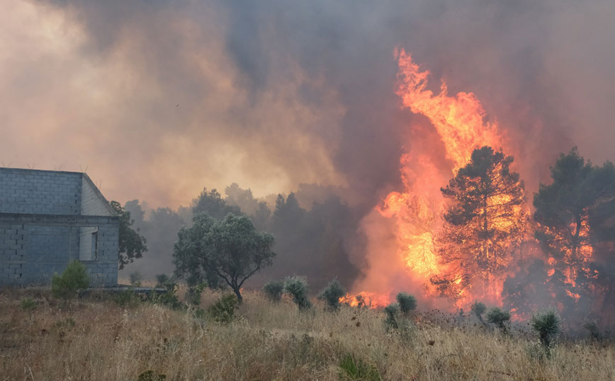 Φωτιά στα Μέγαρα &#8211; Meteo: Χάρτης με την πορεία των ανέμων τις επόμενες ώρες &#8211; Οι ριπές αγγίζουν τα 60 χιλιόμετρα την ώρα