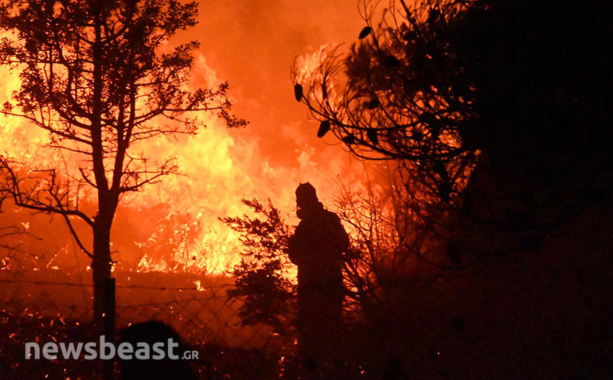 Φωτιά στην Πεντέλη: Έκκληση στους πολίτες να μην παρατάνε τα ζώα τους