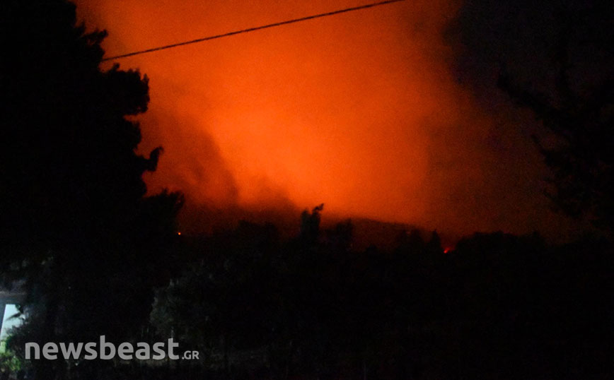 Φωτιά στην Πεντέλη: 420 πυροσβέστες, 85 οχήματα και η ειδική ομάδα Δευκαλίων στη μάχη με τα πύρινα μέτωπα