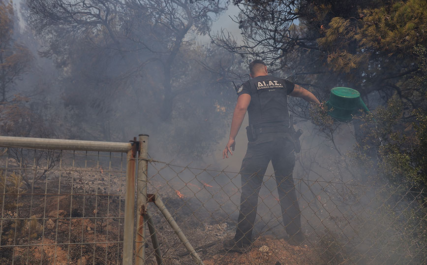 Φωτιά στην Πεντέλη: 930 αστυνομικοί στα μέτωπα &#8211; Τουλάχιστον 680 απεγκλωβισμοί, 24ωρες περιπολίες