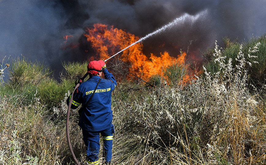 Φωτιές στην Ηλεία: Χωρίς ενεργό μέτωπο οι πυρκαγιές σε Τραγανό και Βάρδα – Καλή η εικόνα της πυρκαγιάς στα Άγναντα