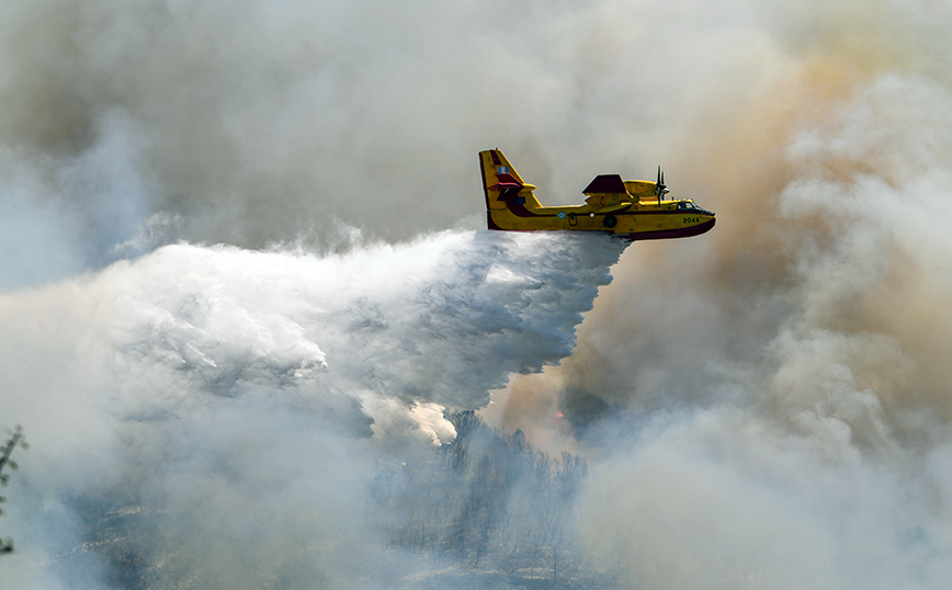 Φωτιές στην Ηλεία
