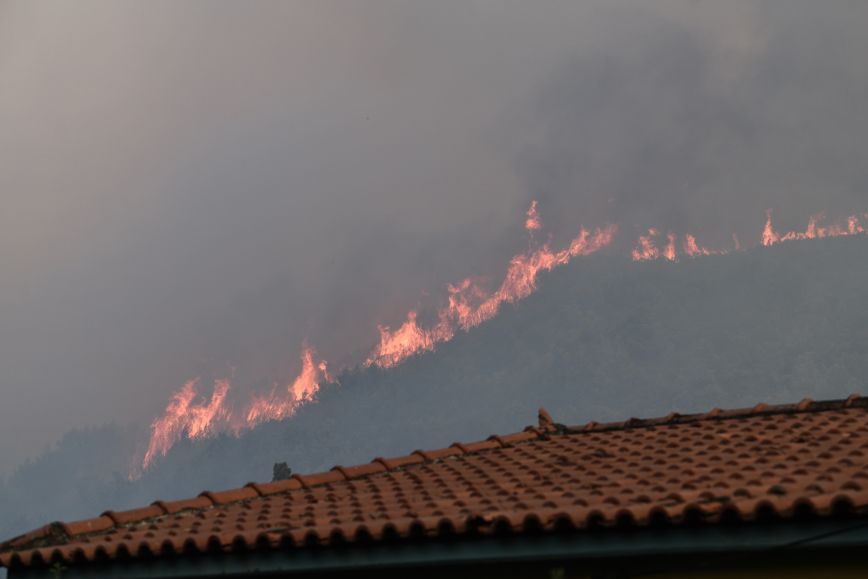 Ολονύχτια μάχη με τις φλόγες στην Ηλεία, εκκενώθηκαν οικισμοί &#8211; Καλύτερη η εικόνα το πρωί