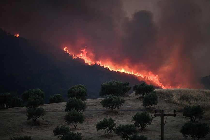Φωτιά στην Ηλεία: Μεγάλο το μέτωπο αλλά δεν απειλεί κατοικημένες περιοχές