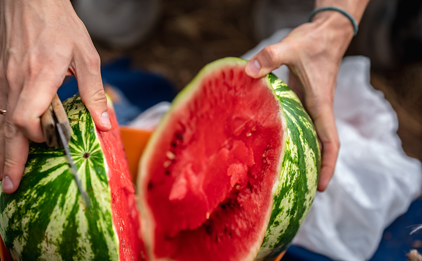 Καρπούζι Καρπούζι
