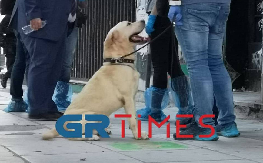 Αστυνομική επιχείρηση για την εκκένωση κατάληψης στην Εγνατία Αστυνομική επιχείρηση για την εκκένωση κατάληψης στην Εγνατία