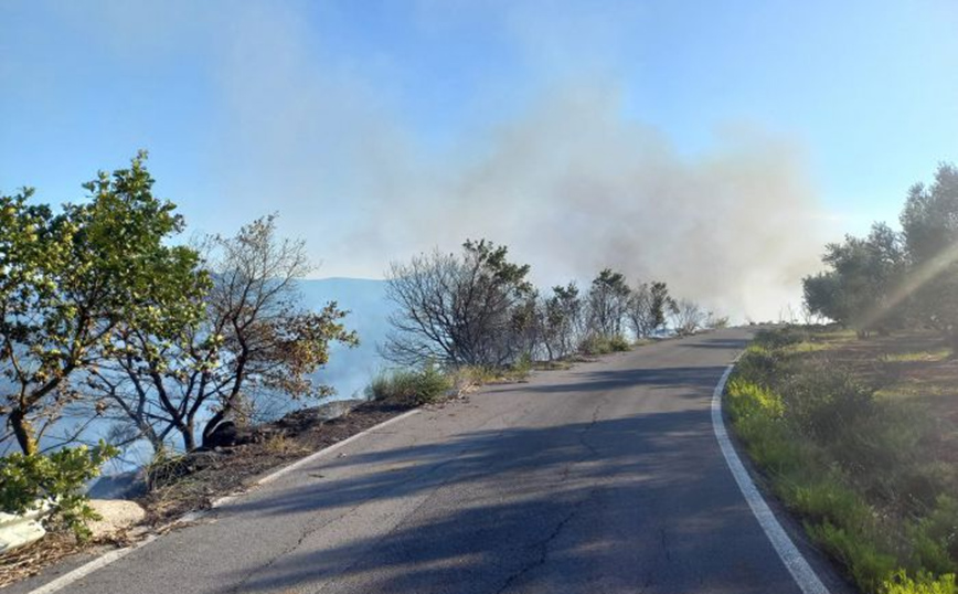 Οριοθετήθηκε η φωτιά στη Μεγαλόπολη – Εξακολουθούν να επιχειρούν ισχυρές πυροσβεστικές δυνάμεις