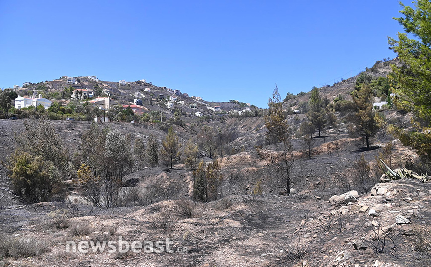 Φωτιά στην Πεντέλη Φωτιά στην Πεντέλη