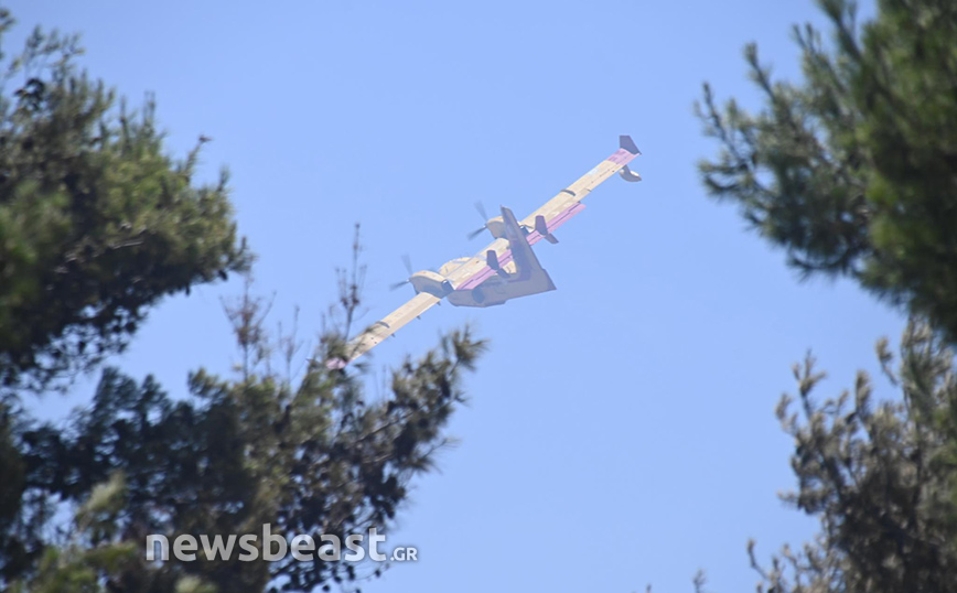 Φωτιά στην Πεντέλη Φωτιά στην Πεντέλη
