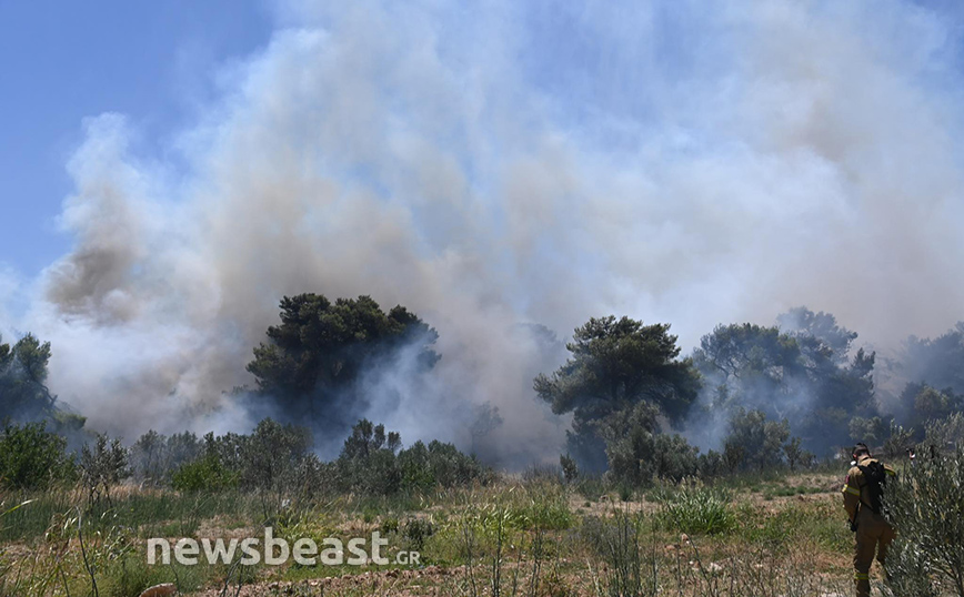 Φωτιά στην Πεντέλη Φωτιά στην Πεντέλη