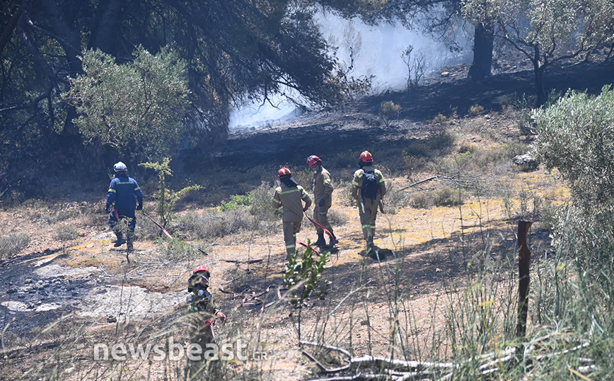 Φωτιά στην Πεντέλη Φωτιά στην Πεντέλη