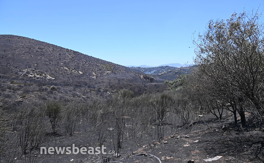 Φωτιά στην Πεντέλη Φωτιά στην Πεντέλη
