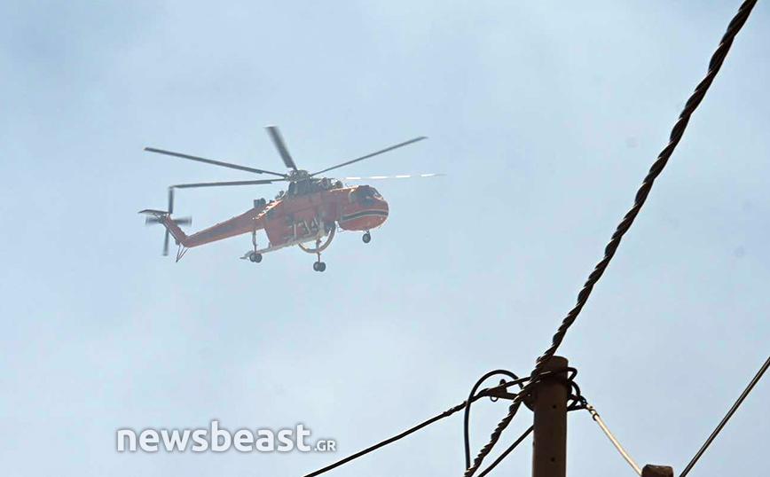 Φωτιά στην Πεντέλη Φωτιά στην Πεντέλη