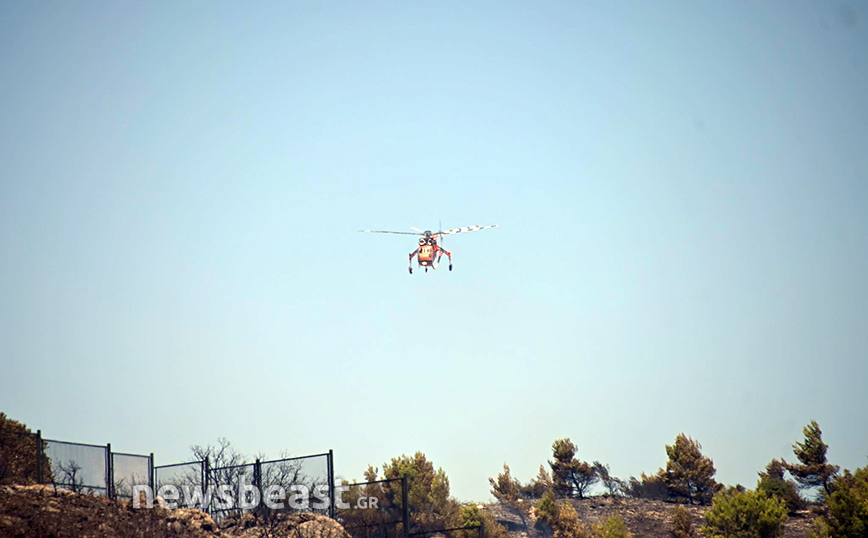 Φωτιά στην Πεντέλη Φωτιά στην Πεντέλη