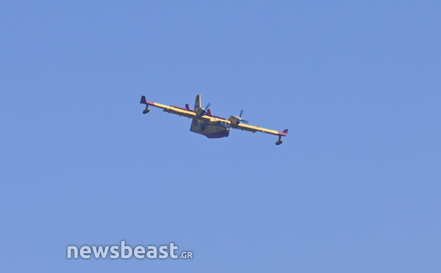 Φωτιά στην Πεντέλη Φωτιά στην Πεντέλη