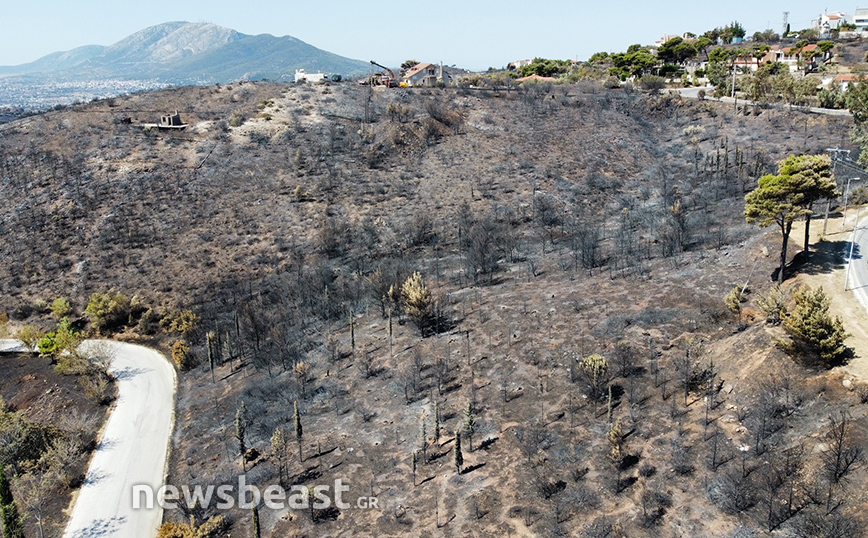 Φωτογραφίες από τα καμμένα στην Πεντέλη