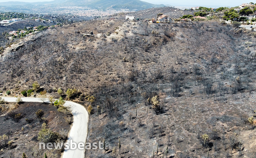 Φωτογραφίες από τα καμμένα στην Πεντέλη