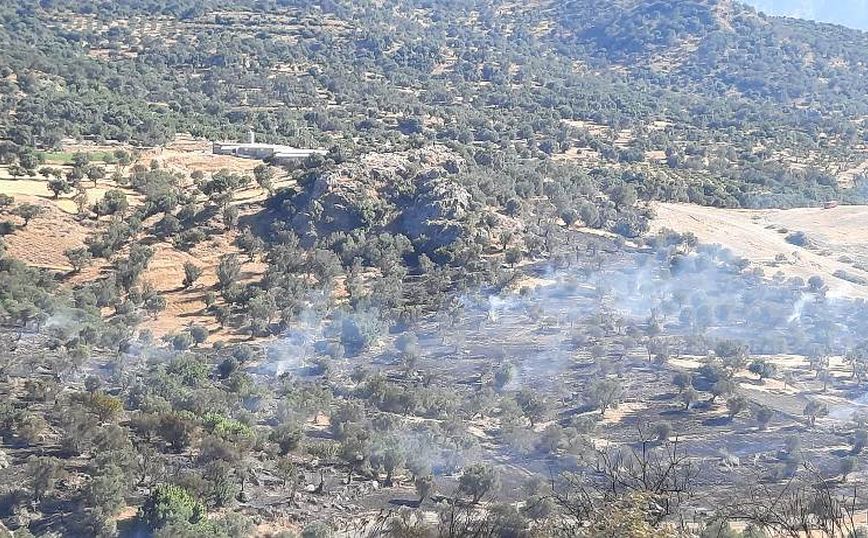 Φωτιά στο Ρέθυμνο: Νέα αναζωπύρωση λόγω των ισχυρών ανέμων – Εκκενένεται ο οικισμός του Αγίου Γεωργίου