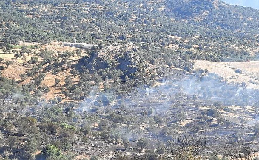 Φωτιά στο Ρέθυμνο: Νέα αναζωπύρωση λόγω των ισχυρών ανέμων &#8211; Εκκενένεται ο οικισμός του Αγίου Γεωργίου