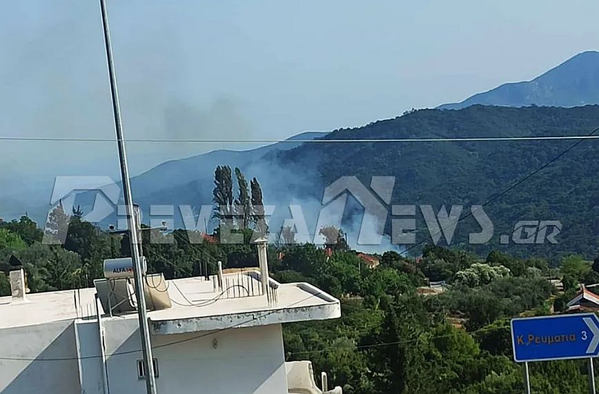 Φωτιά στην Πρέβεζα: Υπό μερικό έλεγχο τέθηκε η πυρκαγιά που απείλησε οικισμό