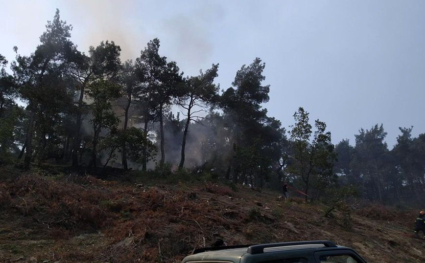 Φωτιά στο δάσος της Δαδιάς στον Έβρο Φωτιά στο δάσος της Δαδιάς στον Έβρο