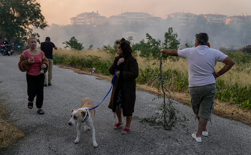 Φωτιά στην Πεντέλη: «Μην εγκαταλείπετε τα ζώα σας» &#8211; Πού μπορείτε να τα πάτε