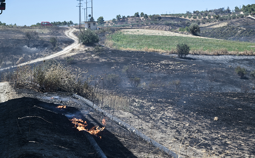 Συναγερμός για φωτιές και σήμερα &#8211; Ο άνεμος μεταφέρει καύτρες έως και 700 μέτρα