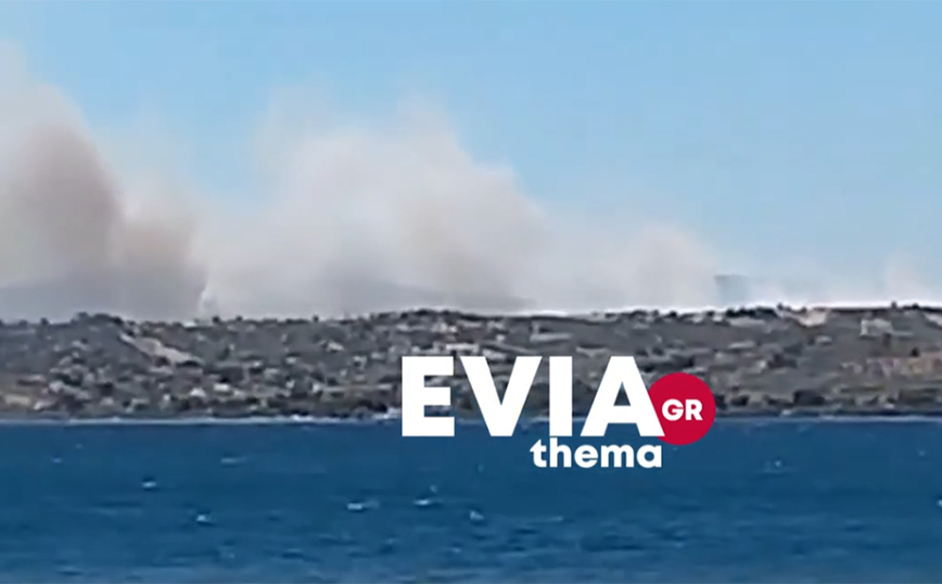 Ελεγχόμενη η μεγάλη φωτιά στο Σχηματάρι – Μήνυμα του 112 στους κατοίκους