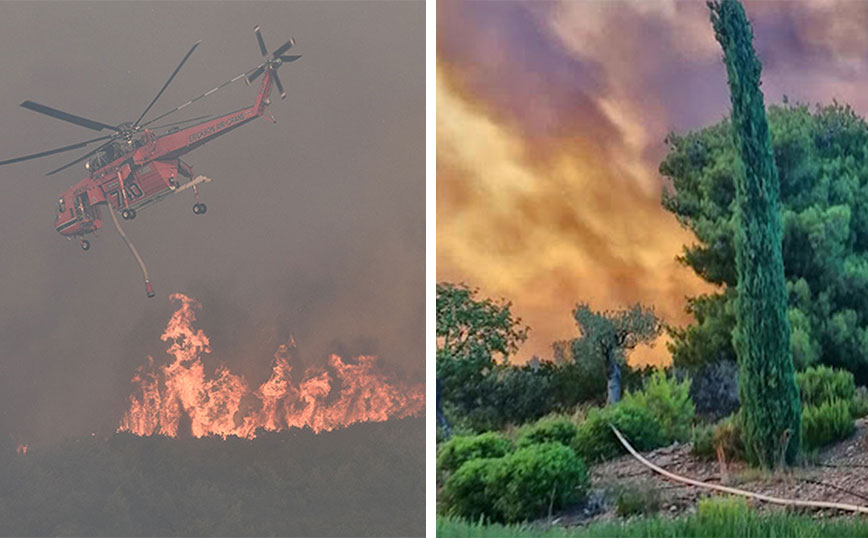 Ανεξέλεγκτη η φωτιά στην Άμφισσα &#8211; Στις φλόγες ξενοδοχείο στην Αργολίδα &#8211; Ολονύκτια μάχη των πυροσβεστών στη βόρεια Ιτέα