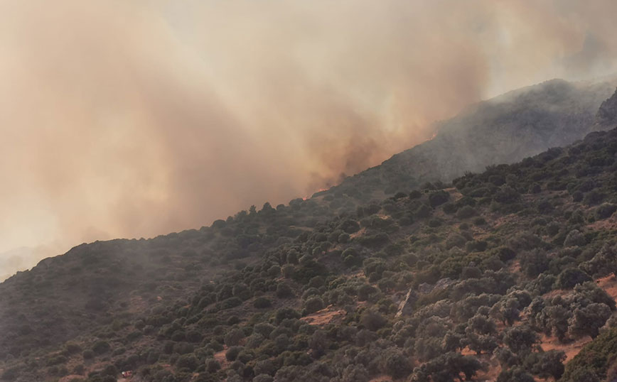 Φωτιά στη Σάμο Φωτιά στη Σάμο