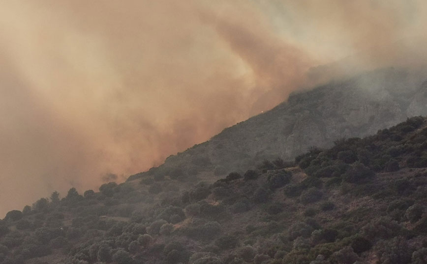 Φωτιά στη Σάμο Φωτιά στη Σάμο