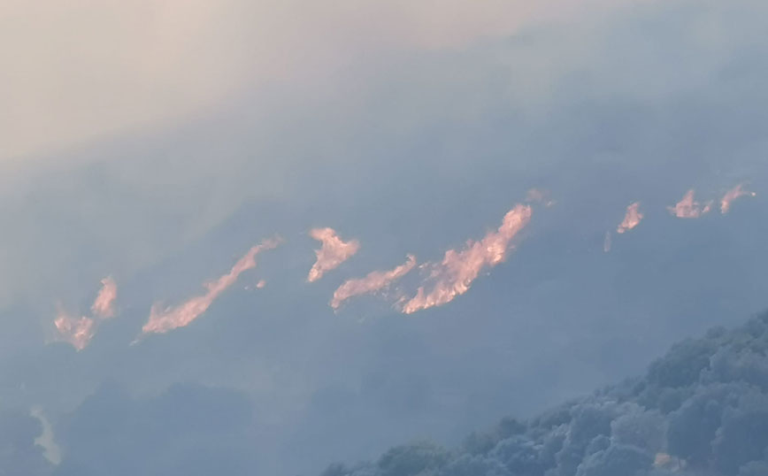 Φωτιά στη Σάμο Φωτιά στη Σάμο