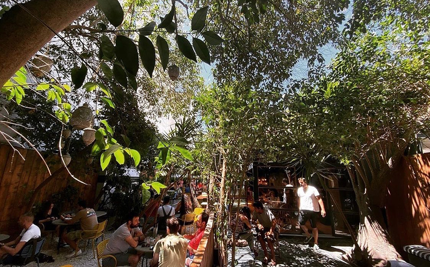 Theory Bar Theory Bar