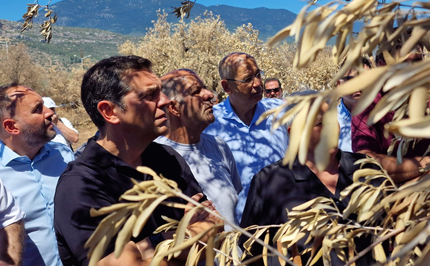 Τσίπρας: Να επαναφέρουμε τη δικαιοσύνη, να σταματήσουν οι σκανδαλώδεις ανισότητες