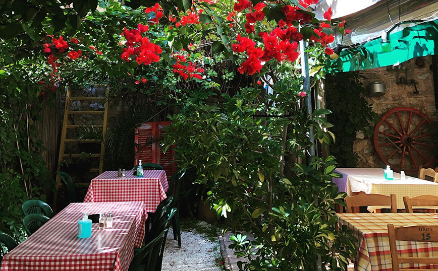 Ταβέρνες στην Αττική που δημιουργούν την εντύπωση ότι βρίσκεστε σε χωριό