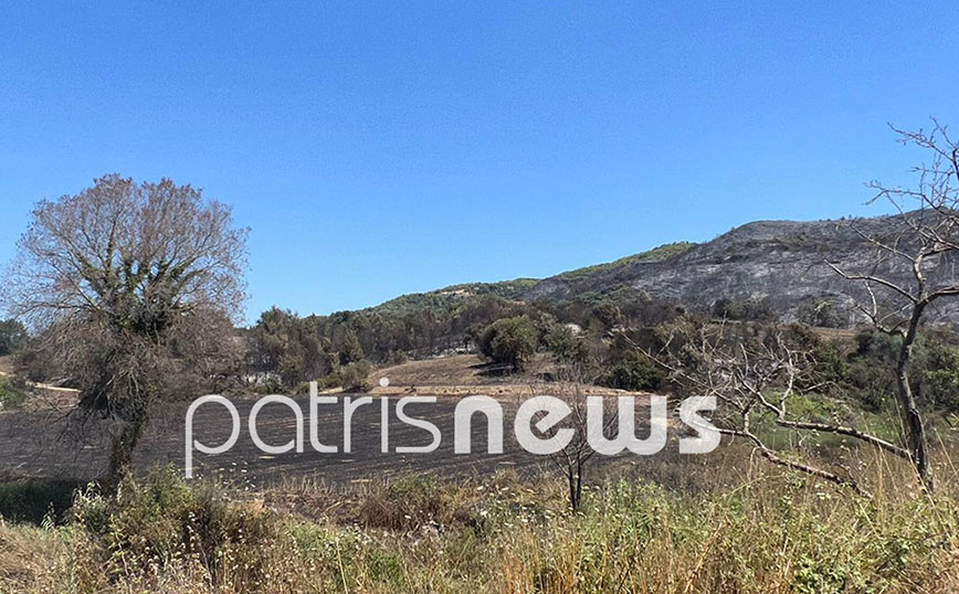 Πυρκαγιά στην Βάλμη Ηλείας Πυρκαγιά στην Βάλμη Ηλείας