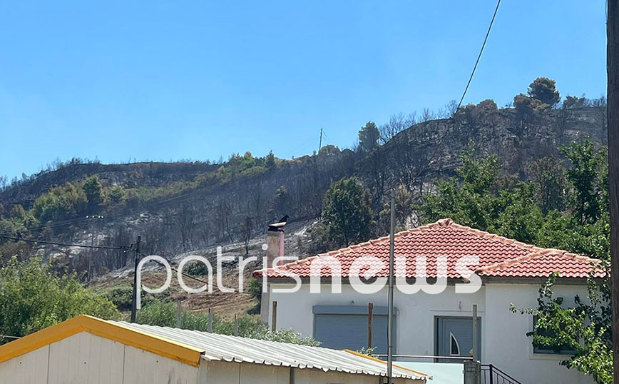 Πυρκαγιά στην Βάλμη Ηλείας Πυρκαγιά στην Βάλμη Ηλείας