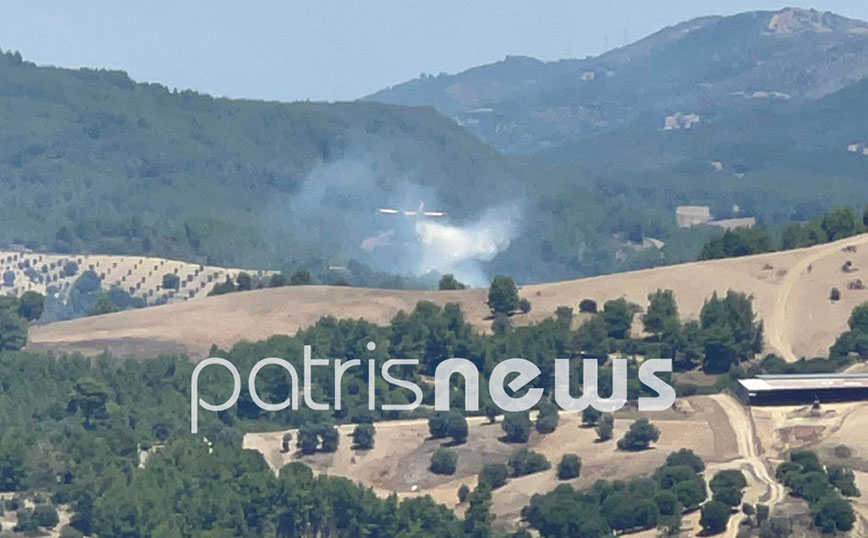 Πυρκαγιά στην Βάλμη Ηλείας Πυρκαγιά στην Βάλμη Ηλείας