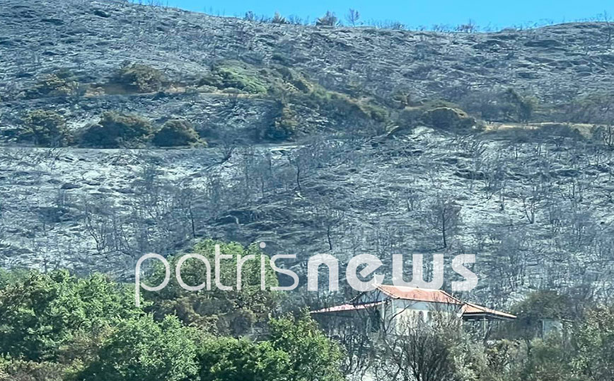 Πυρκαγιά στην Βάλμη Ηλείας Πυρκαγιά στην Βάλμη Ηλείας