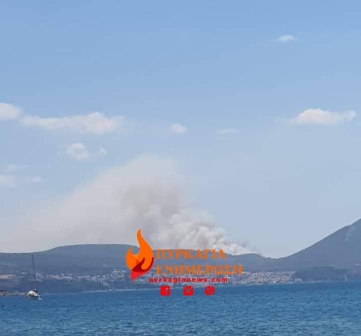 Φωτιά τώρα στη Μεσσηνία &#8211; Μήνυμα του 112 για εκκένωση του Μεσοχωρίου