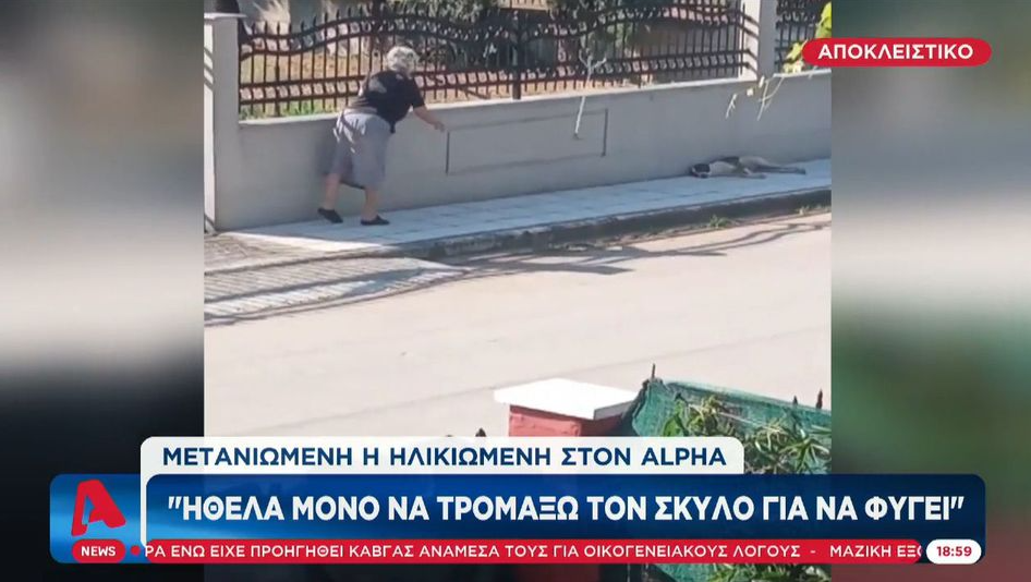 «Ήθελα μόνο να το τρομάξω να φύγει» λέει η γυναίκα που πέταξε μπαστούνι σε σκύλο