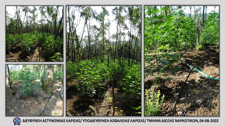 Αστυνομική επιχείρηση για ναρκωτικά στη Λάρισα Αστυνομική επιχείρηση για ναρκωτικά στη Λάρισα