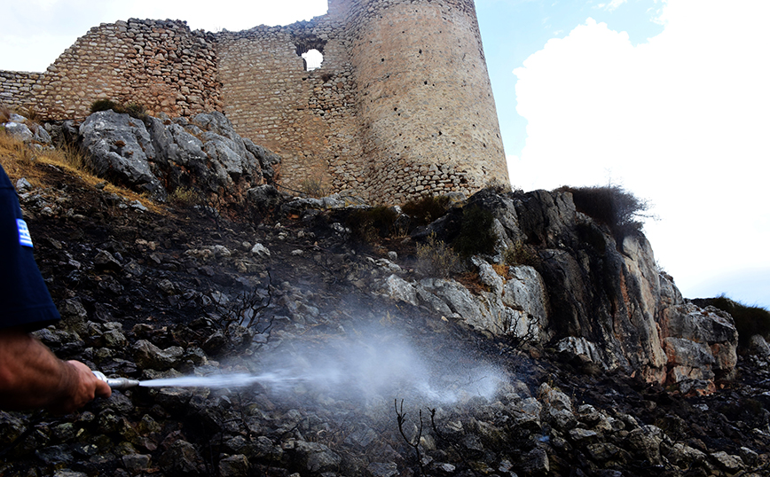 Πυρκαγιά στην Αργολίδα Πυρκαγιά στην Αργολίδα