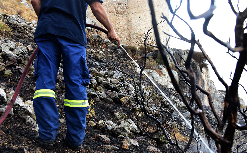 Πυρκαγιά στην Αργολίδα Πυρκαγιά στην Αργολίδα
