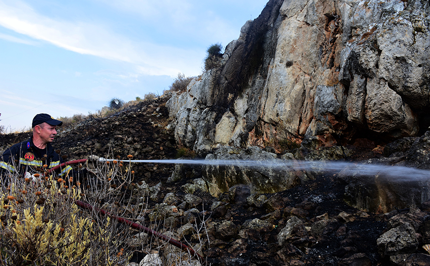 Πυρκαγιά στην Αργολίδα Πυρκαγιά στην Αργολίδα