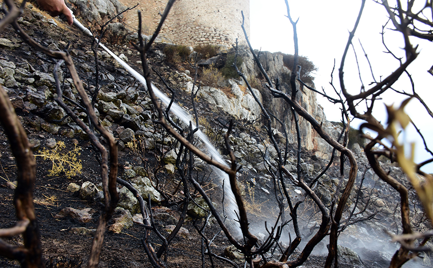 Πυρκαγιά στην Αργολίδα Πυρκαγιά στην Αργολίδα