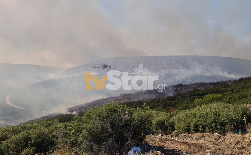 Φωτιά στον Δομοκό: Μεγάλη μάχη σε πολλά μέτωπα