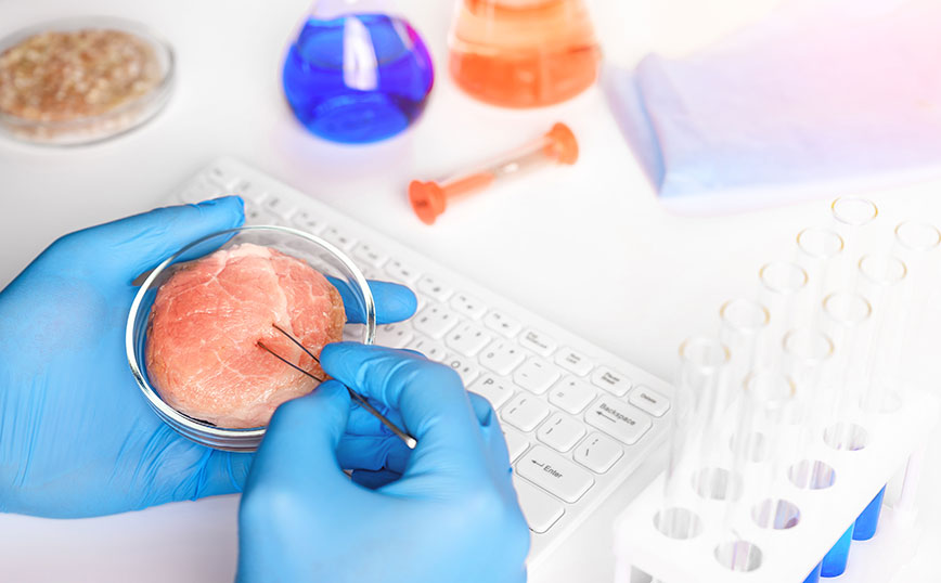 Επιστήμονας που εξετάζει κρέας Επιστήμονας που εξετάζει κρέας