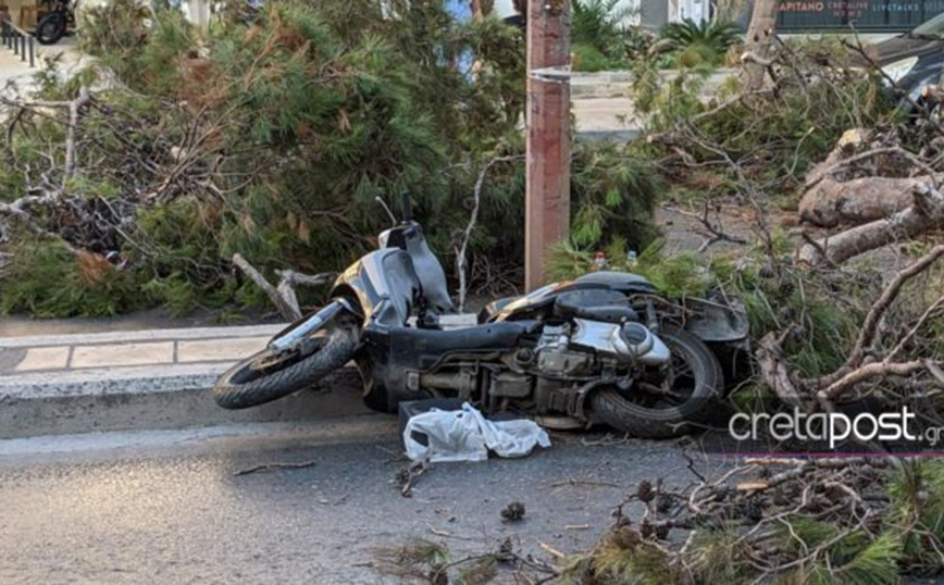 Κρήτη: Ειδικό πραγματογνώμονα όρισε η οικογένεια του μοτοσυκλετιστή που καταπλακώθηκε από δέντρο