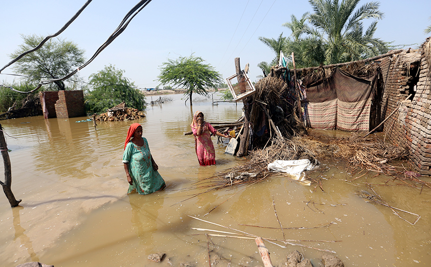 Πακιστάν Πακιστάν